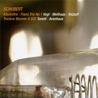Avi : Vogt - Schubert Trio No. 1