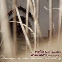 Avi : Vogt, Pilsen - Dvorak, Shostakovich