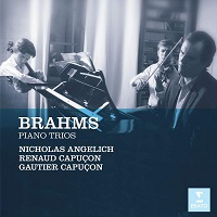 Erato : Angelich - Brahms Trios