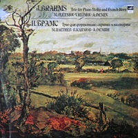 Melodiya : Pletnev - Brahms Trio